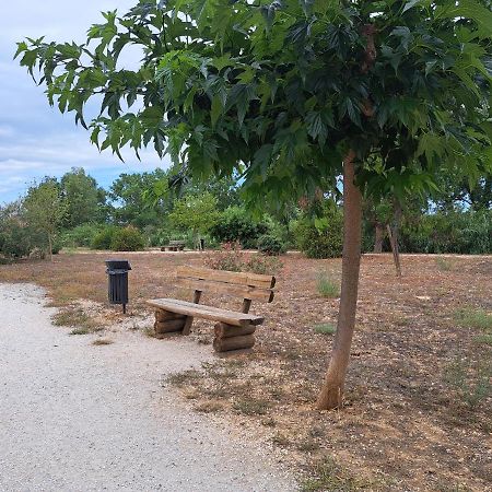 Studio Proche De Perpignan Peyrestortes Exteriör bild